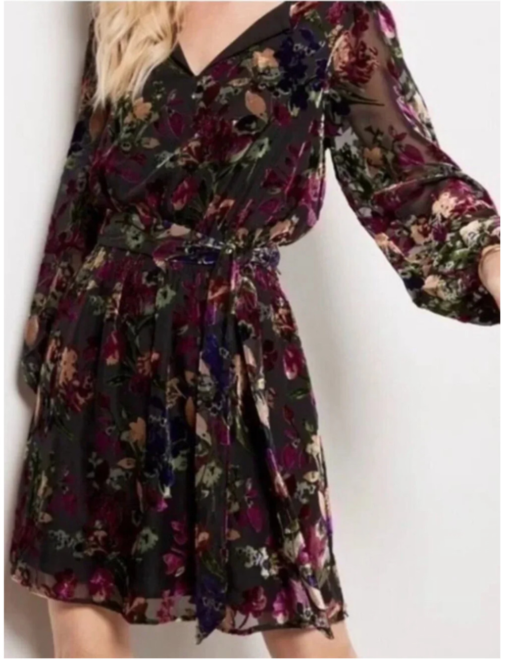 Evereve Ashlyn Velvet Floral Burnout Mini Dress Sz M Dark Romantic Fairy